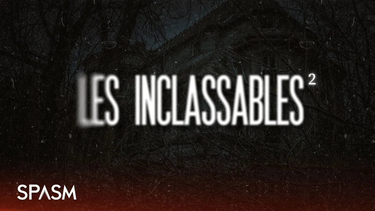 Les Inclassables 2